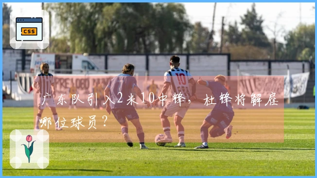 广东队引入2米10中锋，杜锋将解雇哪位球员？
